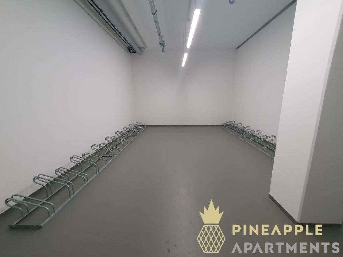 Pineapple Apartments Dresden Altstadt IV - 91 Qm - 1X Free Parking Екстер'єр фото